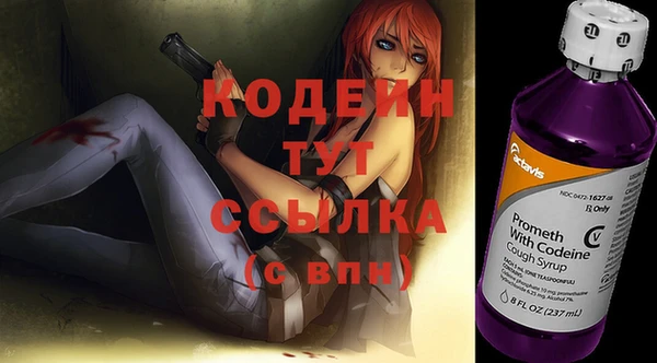 прущие крисы Заводоуковск