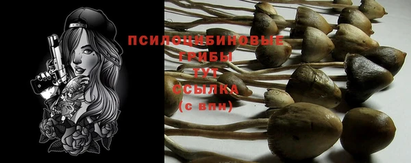 таблы Заволжье