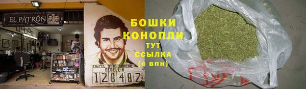 прущие крисы Заводоуковск