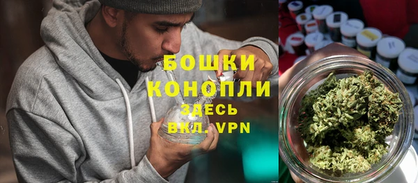 прущие крисы Заводоуковск