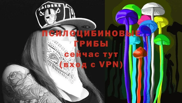 прущие крисы Заводоуковск